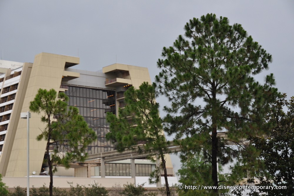 Contemporary Resort